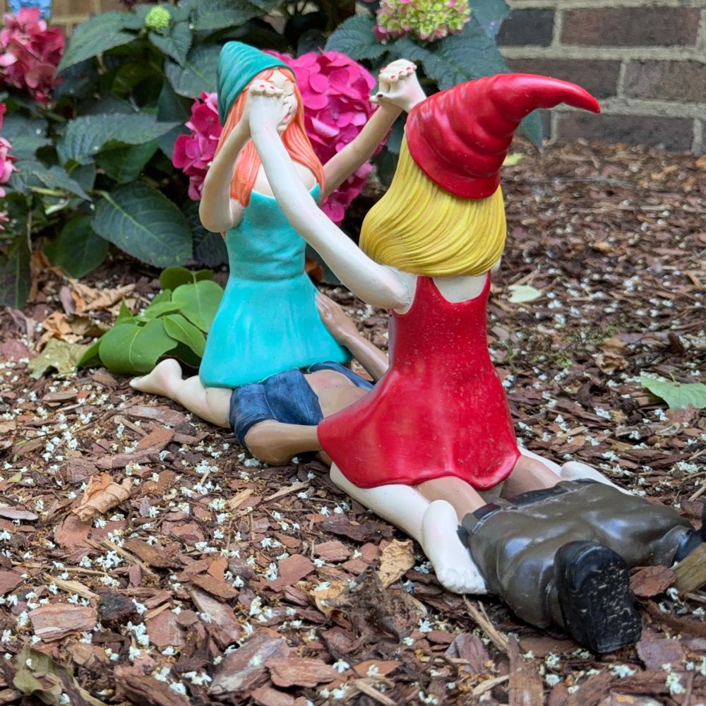 Gift a Gnaughty Gnome