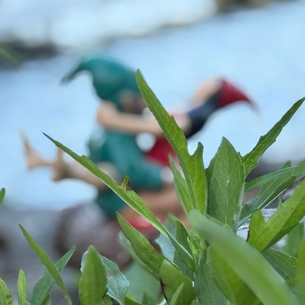 The Ultimate Guide to Winning the Neighborhood Lawn War